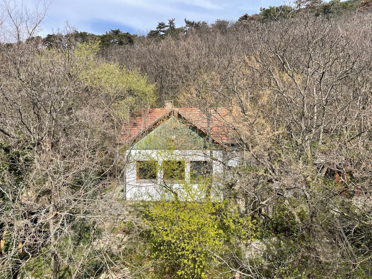 Rustic Cottage & Garden Retreat On Buda Hilltop Budapest Exterior photo